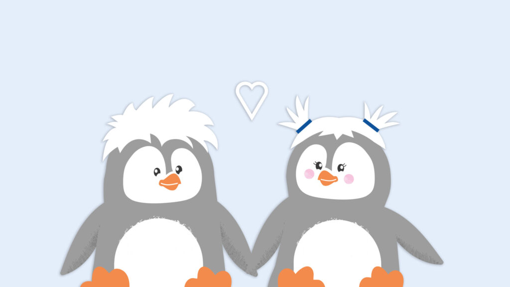 Paediprotect Pauli & Pauline Zubehör